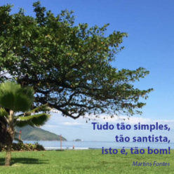 tãoSantista